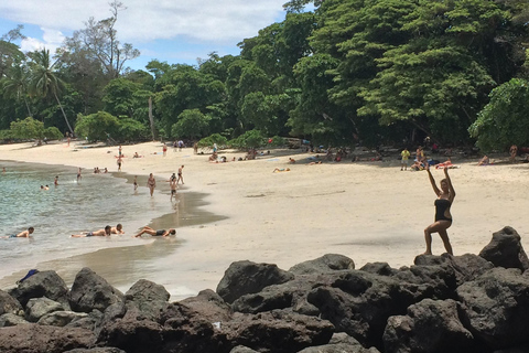 Manuel Antonio: Lezioni di surf per tutti - Costa Rica