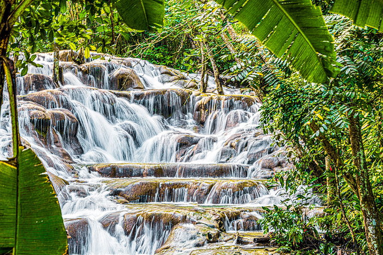 Bob Marley Mausoleum & Dunn’s River Falls Private Tour