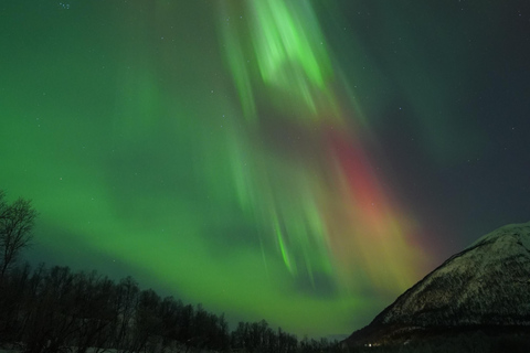 Tromsø: Northern Lights Tour – Unlimited Chase & Free Photos 6-8 Hours, Aurora chase, Comfortable bus, Photos included