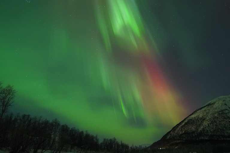 Tromsø: Northern Lights Tour – Unlimited Chase & Free Photos 6-8 Hours, Aurora chase, Comfortable bus, Photos included