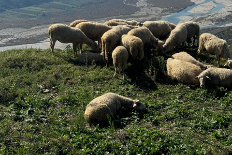 Explora a antiga Albânia