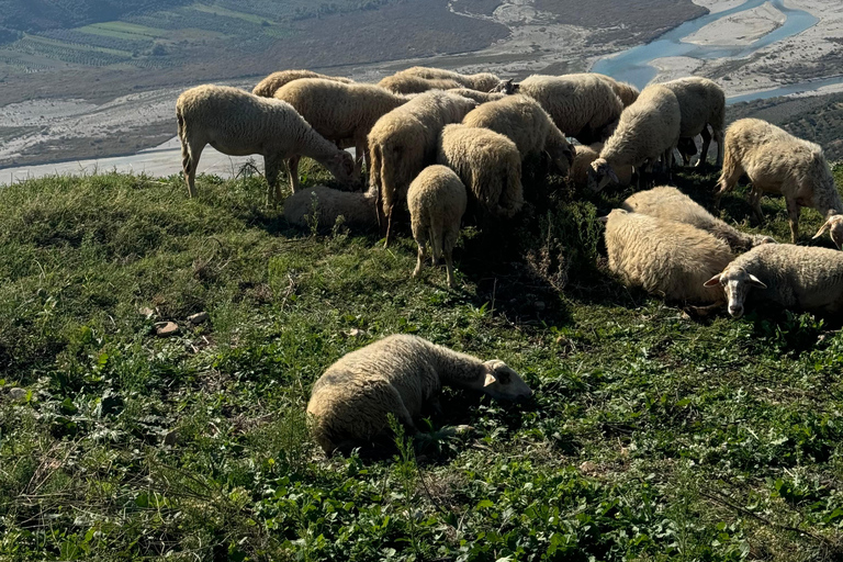 Explora a antiga Albânia