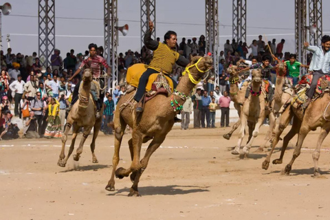 Jaipur: escursione privata in giornata ad Ajmer e Pushkar
