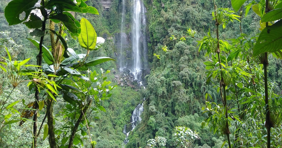 From Bogot Visit And Hike To La Chorrera Waterfall Getyourguide