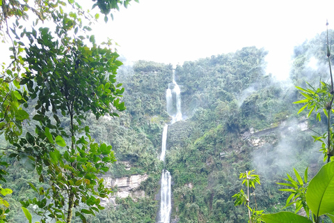 Bogotá: Visit and hike to the highest waterfall in Colombia From Bogotá: Visit and hike to La Chorrera Waterfall