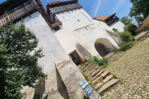 Transylvania 4-Day Tour: Castles, Bears & UNESCO