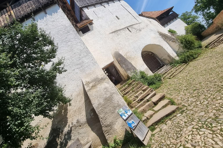 Transylvania 4-Day Tour: Castles, Bears & UNESCO