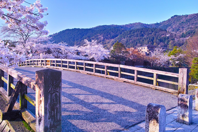 Day tour of Kyoto+Nara, Fushimi Inari Taisha+Arashiyama