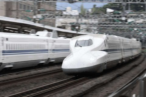Tokyo: Kyoto Day Trip by Bullet Train with Licensed Guide