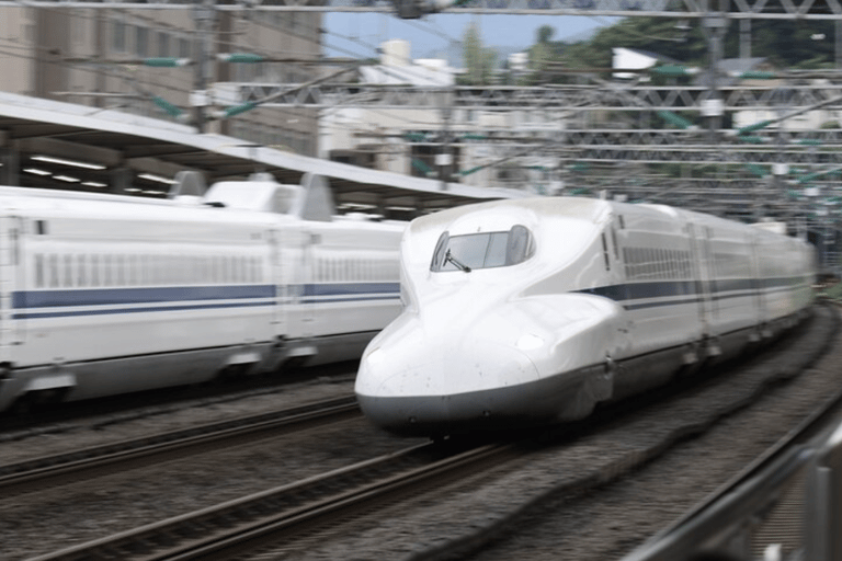 Tokyo: Kyoto Day Trip by Bullet Train with Licensed Guide