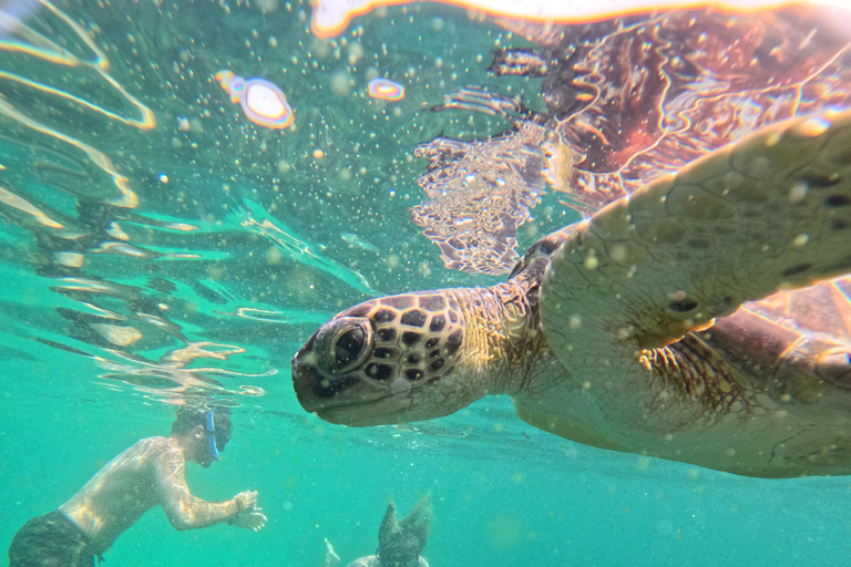 Muscat: Daymaniyat Islands Boat & Snorkel Trip
