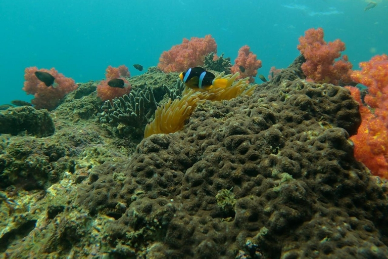 aventure de plongée sous-marine sur l'île d'al fahal