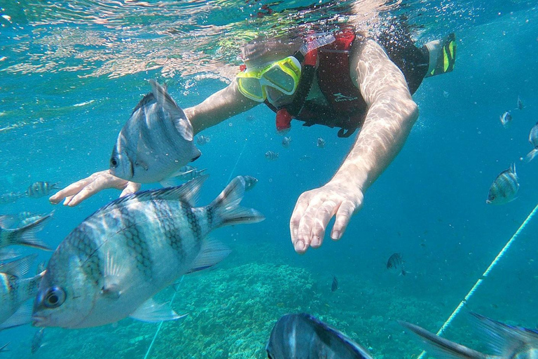 Tour di un giorno intero di snorkeling e isole con una crociera di lussoGiornata indimenticabile a Orange Bay