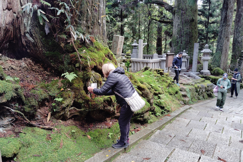 Z Osaki: prywatna wycieczka 1-dniowa z przewodnikiem do Koyasan (miejsce wpisane na listę UNESCO)