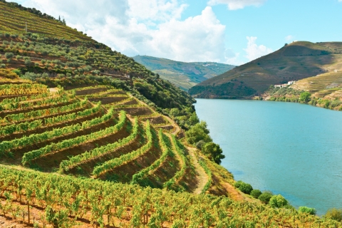 Porto : visite de la vallée du Douro avec croisière et repasVisite privée en anglais avec prise en charge