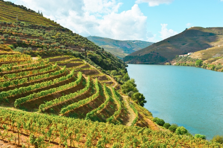 Porto: Douro Valley Tour with Wine Tasting, Cruise and Lunch Group Tour in Portuguese with Pickup