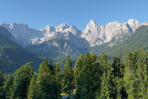 Ljubljana: Private Guided City Tour