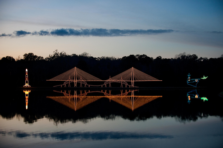 Charleston: Holiday Festival of Lights Tour with S'mores Kit