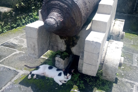 Manila: Intramuros Tour (dunkel)