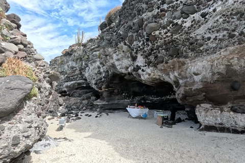 La Paz: Sea Lions & Mega-Paddleboard Tour in Espiritu Santo