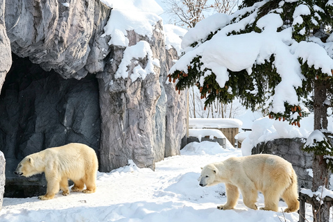 Sapporo: Asahiyama Zoo, Blue Pond & Fairy Terrace Tour Departure: Odori Park Subway Station Gate 31