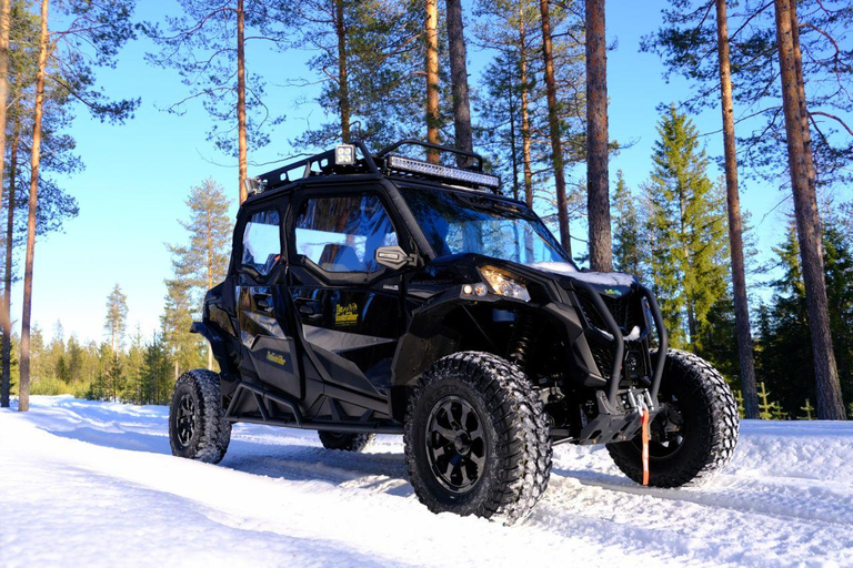 Helsinki: Buggy Ride, Reindeer Farm Visit, and Picnic