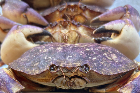 Lima: Food tour with a visit to a local market and tastings.