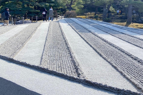 E-Bike Tour in Kyoto with Asuka, Japanese graduate student