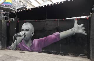Dublin: Führung auf Französisch. Sehenswürdigkeiten und verborgene Schätze.