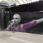 Dublin: Guided Tour in French. Must-see sites and hidden treasures.