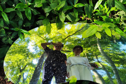 Hangzhou Yunqi Bamboo Trail Admission Ticket