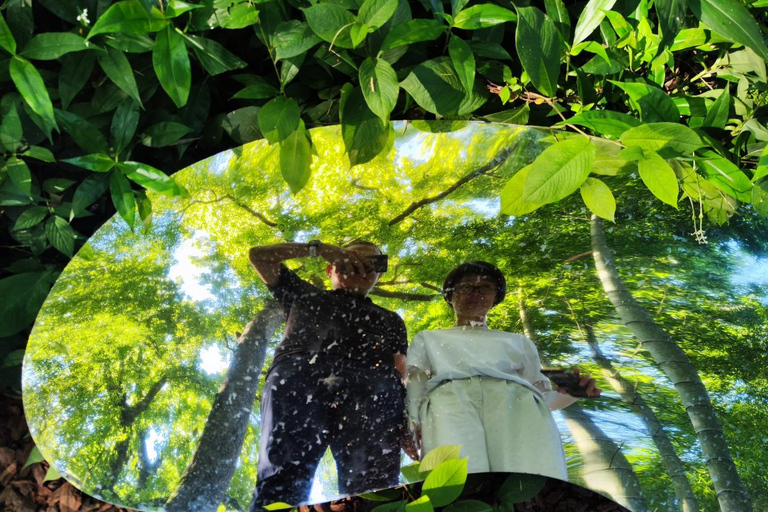 Hangzhou Yunqi Bamboo Trail Admission Ticket
