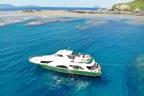 Naha:Kerama Islands 2 Fun Dive/Whale watching Limited time