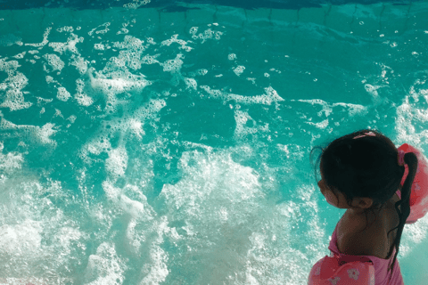 Day trip to Terme Zreče from Ljubljana Private Day trip to Terme Zreče from Ljubljana