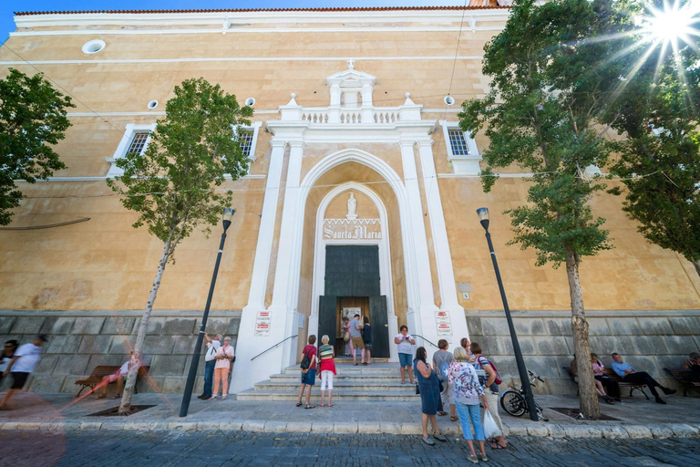 Boottocht in de haven van Mahon met markt en jeneverstokerijBoottocht in de haven van Mahon met Mahon-markt en gin-distilleerderij