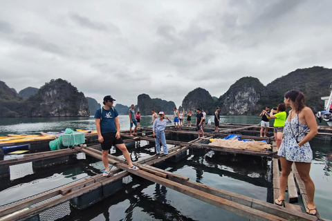 Hanoi: 3D 2N Lan Ha Bay cozy cruises, biking, kayakin, meals Halong classic cruise 3days 2N, perfect for small group