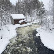 Ruka : randonnée en raquettes dans le parc national d'Oulanka