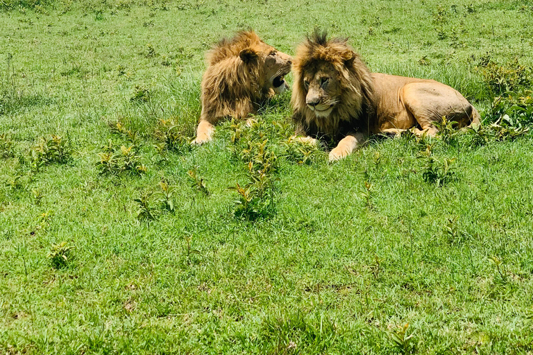 3-Day Tanzania Private Luxury Safari Tour