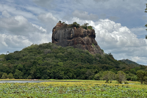 Tour privato di Sigiriya Dambulla Minneriya Safari di un giorno interoServizio di prelievo in hotel a Kandy o Matale