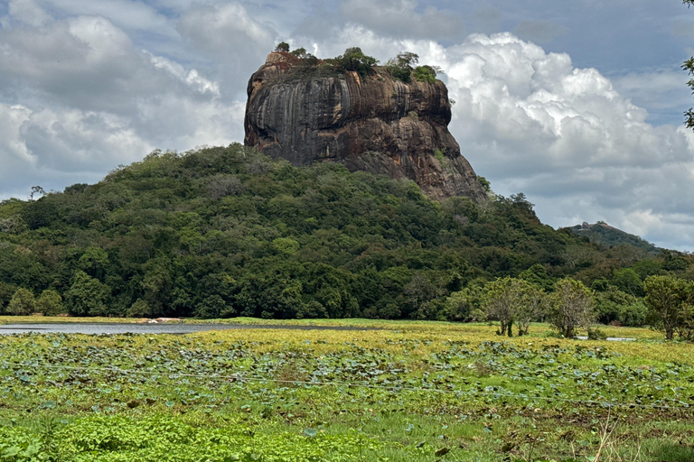 Tour privato di Sigiriya Dambulla Minneriya Safari di un giorno interoServizio di prelievo in hotel a Kandy o Matale