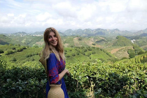 The Largest Tea Plantation and Xianggong Hill Tour