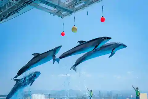 Fukuoka: Marine World Uminonakamichi E-Tickets