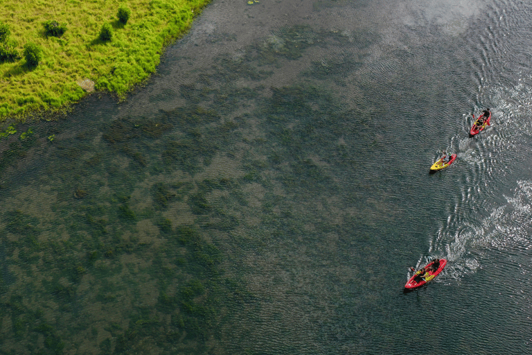 Maurice : kayak, dauphins sauvages, île Benitiers, rivièreMaurice : Kayak, dauphins sauvages, île Benitiers, rivière