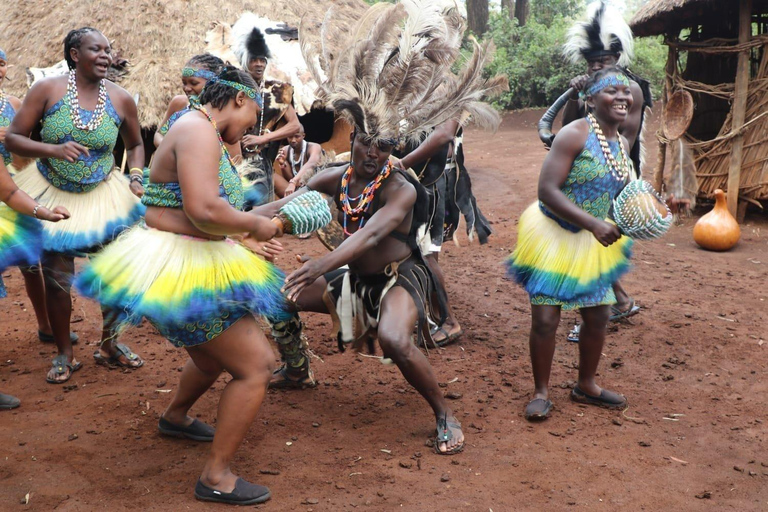 Nairobi : Visite privée de l&#039;après-midi des Bomas du KenyaVille de Nairobi : Bomas of Kenya visite d&#039;une demi-journée privée