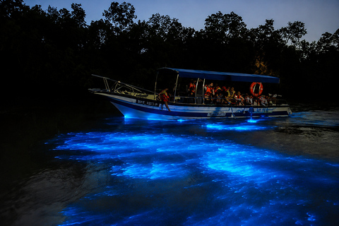 Kuala Lumpur: 4-Day Private Fireflies, Cameron & Melaka Tour