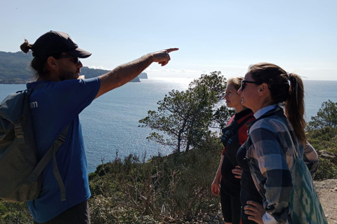 Discover the Island Dragonera by kayak and on foot