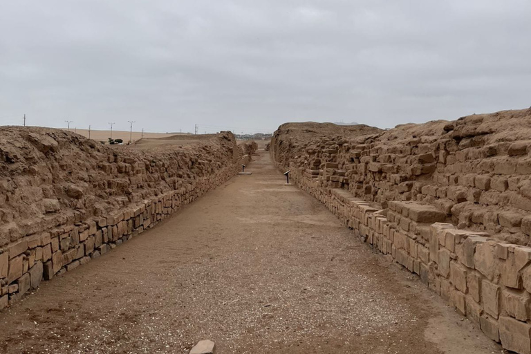 Lima: Private Tour of Barranco, La Herradura, and the Pachacámac Sanctuary