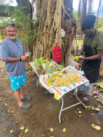 Good Vibes Only Food & Walking Tour Of Downtown Basseterre - Housity