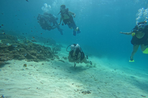 Diani: Wasini Insel, Schnorcheln &amp; Shimoni Sklavenhöhlen Tour