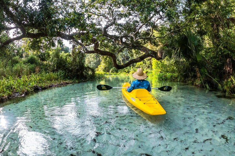 Florida: Emerald Cut Kayak Adventure Emerald Cut Kayak Adventure - Single Kayak